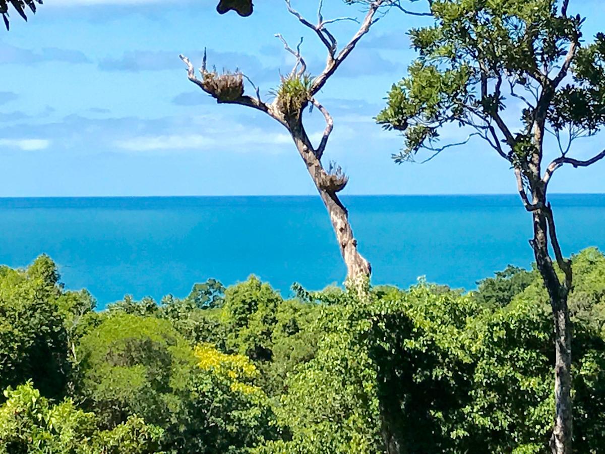 Daintree Magic Holiday House Cow Bay Exterior photo